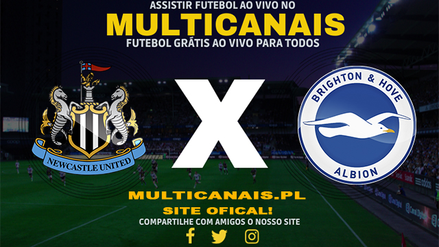 Assistir Newcastle x Brighton AO VIVO Online 11/05/2024