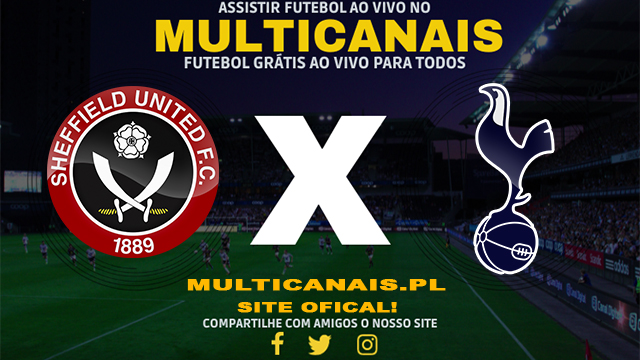 Assistir Sheffield x Tottenham AO VIVO Online 19/05/2024