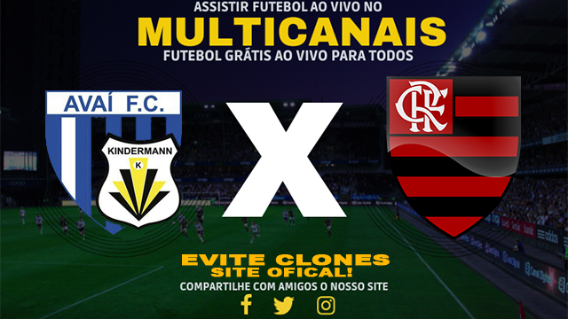 Assistir Avaí/Kindermann x Flamengo AO VIVO Online 17/08/2024